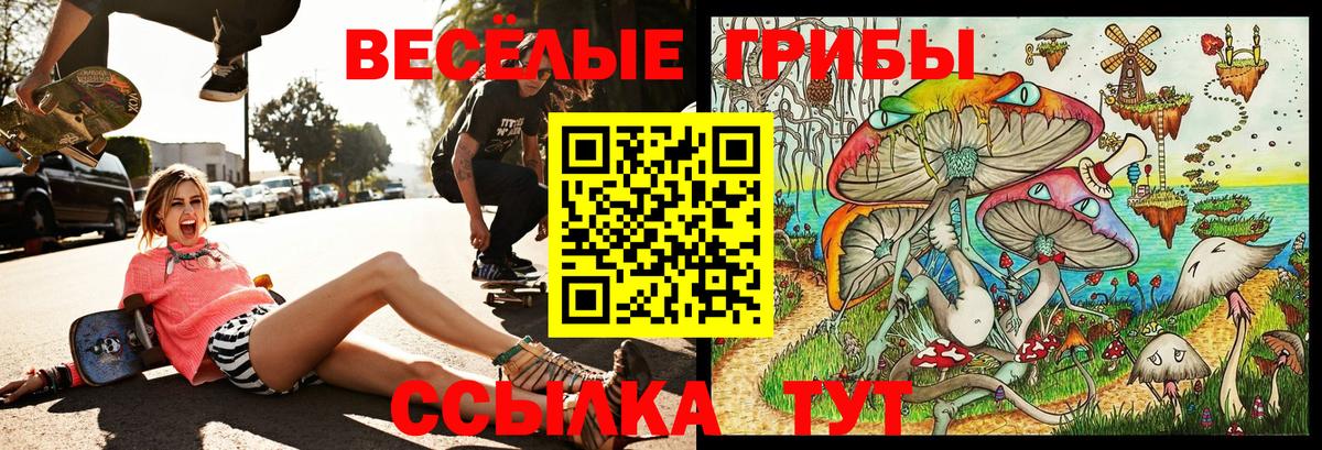 Псилоцибиновые грибы прущие грибы  Вход с VPN  Галлюциногенные грибы Cubensis  Краснознаменск 