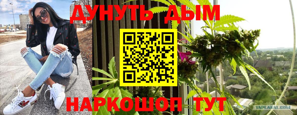 МАРИХУАНА LSD WEED  Вход с VPN  Краснознаменск  Канабис LSD WEED 